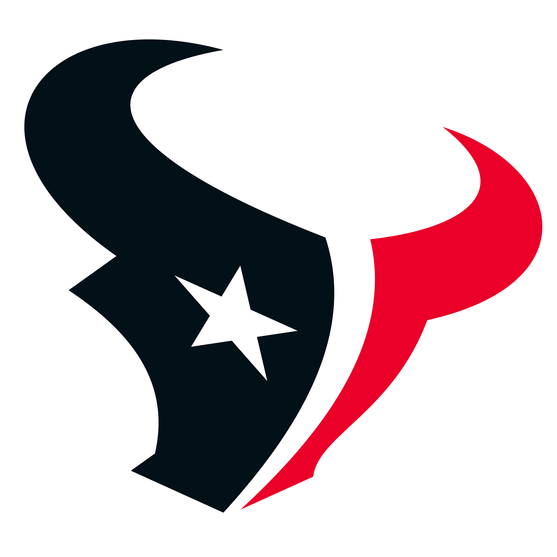 Houston Texans logo